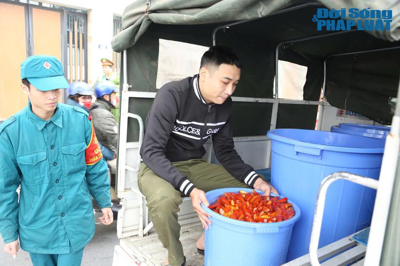 Lực lượng chức năng dùng xe chuyên dụng vận chuyển hàng trăm con cá di chuyển đến địa điểm thả bên bờ sông Hồng thuộc địa bàn phường Nhật Tân.