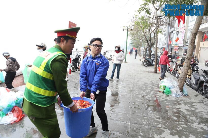 Cá được gom lại, chuyển lên các xe chuyên dụng của lực lượng chức năng.