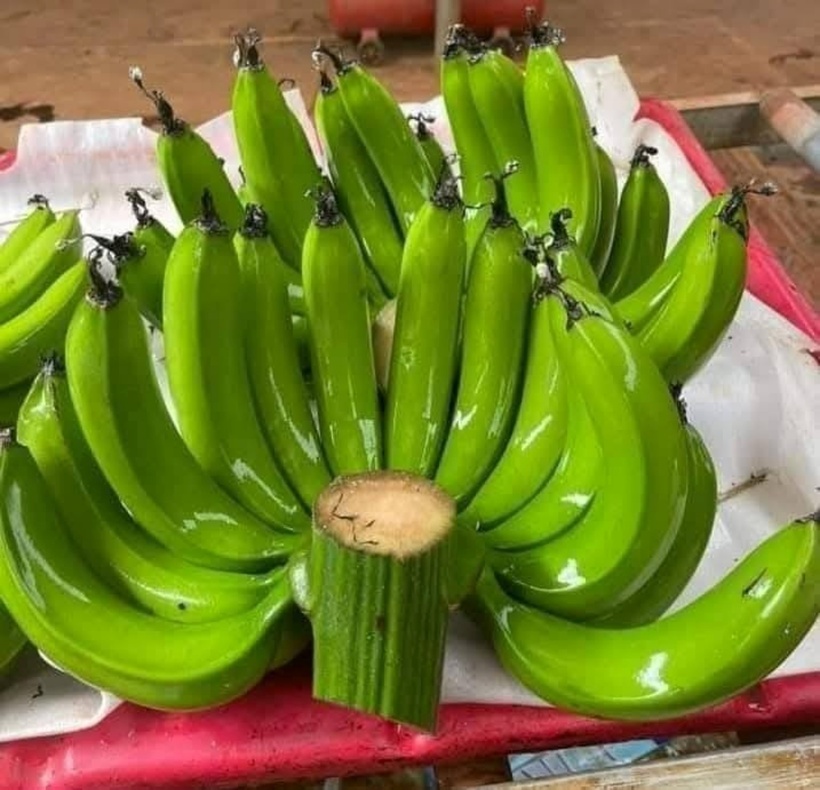 So với cận Tết năm ngoái, giá chuối xanh bày mâm ngũ quả Tết này đã tăng gấp 2 đến 4 lần, dao động từ 120.000 đến 300.000 đồng/nải. Ảnh minh họa.