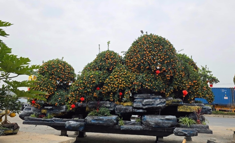 Chủ nhân của tác phẩm độc đáo này là anh Phạm Văn Hoàn. Ảnh: Vietnamnet.