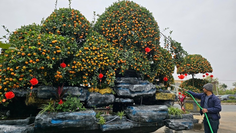 Tác phẩm “Ngũ phúc” đón Tết Ất Tỵ 2025 là một trong số những tác phẩm tiêu biểu của anh Hoàn. Ảnh: Vietnamnet.