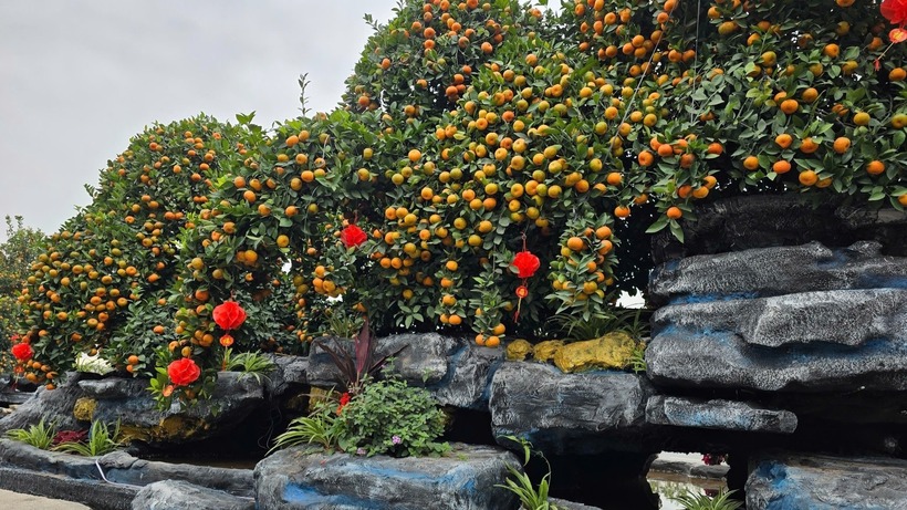 Tác phẩm này được anh Hoàn ra mức giá 200 triệu đồng cho người sở hữu. Ảnh: Vietnamnet.