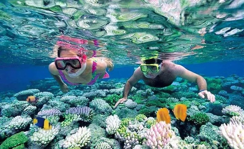 Hòn Khô còn nổi tiếng với những rạn san hô đầy màu sắc, là thiên đường cho những ai yêu thích lặn biển