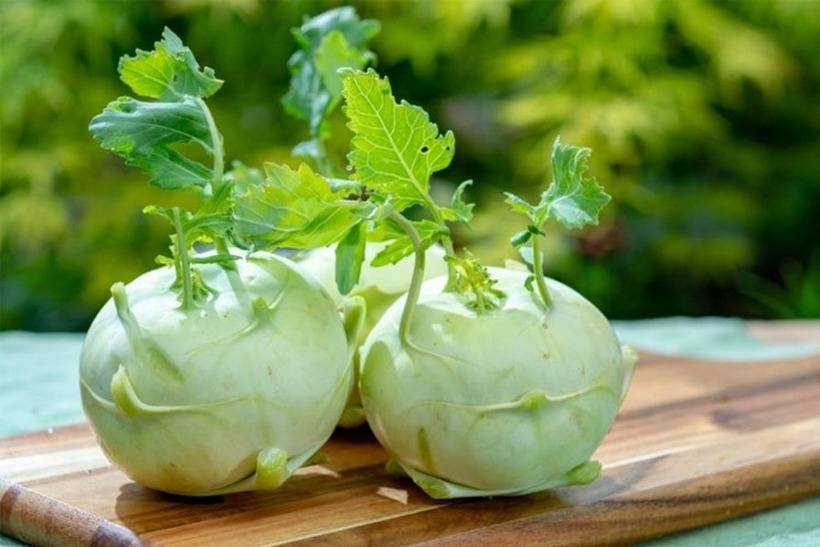 Su hào là một nguồn dinh dưỡng tuyệt vời.