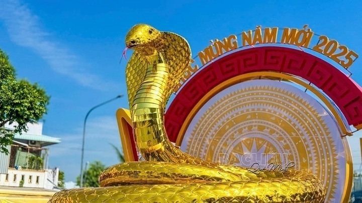 Đặt ngay vị trí trang trọng tại lối vào trung tâm hành chính tỉnh, linh vật rắn Bạc Liêu gây ấn tượng mạnh với chiều cao tổng thể 3,5 mét (trong đó thân rắn cao 2,3 mét). Được chế tác tỉ mỉ với khung sắt uốn cong tinh xảo và lớp vảy tráng gương màu vàng lấp lánh, linh vật này là một điểm nhấn thị giác nổi bật.