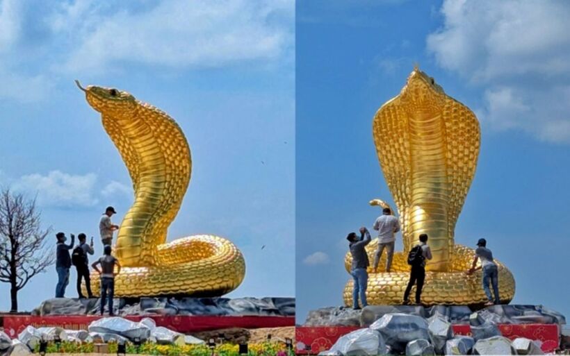Với trọng lượng hơn 1,2 tấn, mô hình linh vật rắn hổ mang chúa màu vàng rực rỡ đã trở thành điểm nhấn tại khu vực ven biển thành phố Rạch Giá, Kiên Giang. Màu vàng không chỉ mang ý nghĩa tượng trưng cho sự thịnh vượng và may mắn mà còn giúp bức tượng nổi bật dưới ánh nắng chan hòa của miền biển.