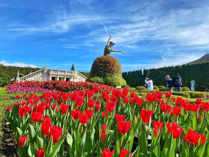 Sun World Ba Na Hills hứa hẹn hút khách dịp Tết Ất Tỵ với lễ hội hoa 2025 - 6