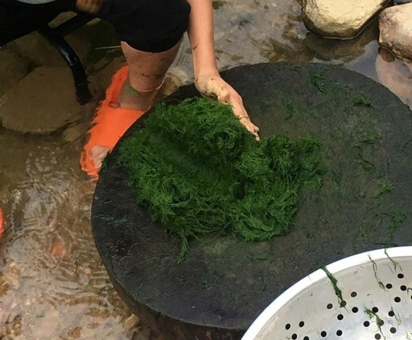 Ngày nay, những món ăn từ rêu suối đã không còn là đặc sản riêng của các gia đình vùng cao nữa.
