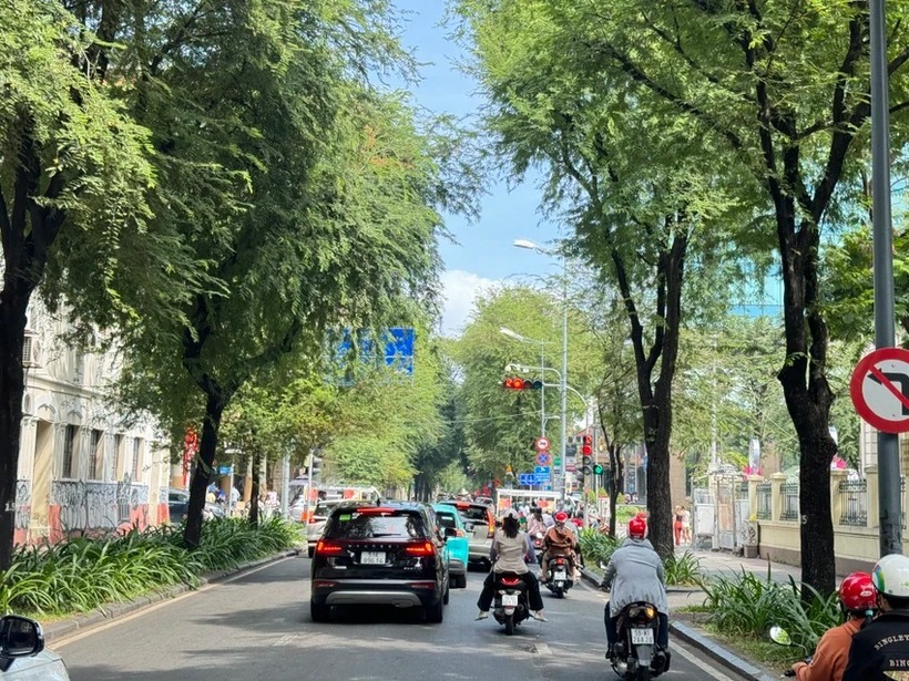 Thời tiết mát mẻ ngày mùng 1 Tết cũng làm cho không khí mùa xuân nhộn nhịp, hấp dẫn hơn.