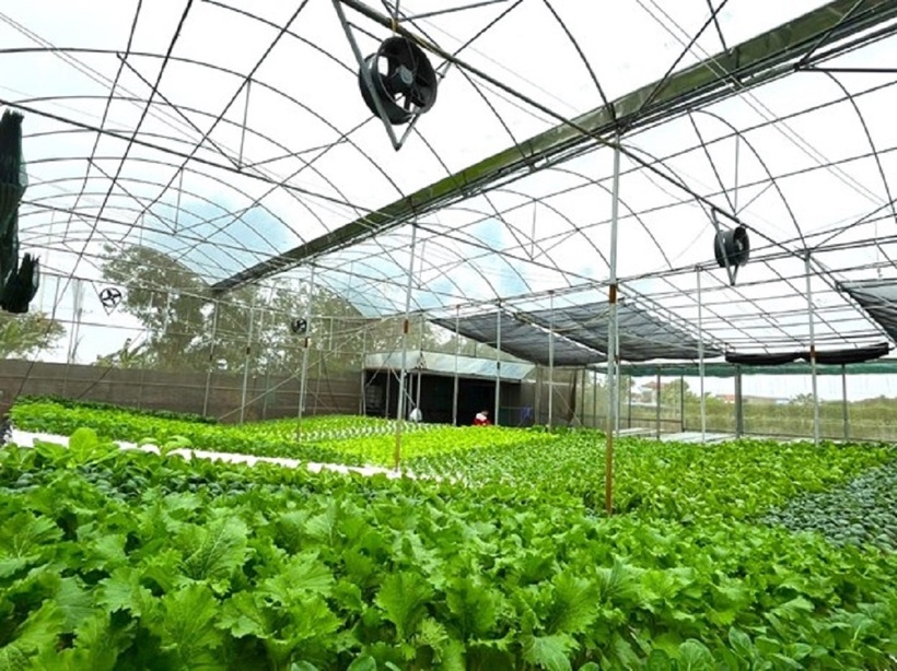 Agribank&nbsp;tiên phong thúc đẩy “xanh hóa” tín dụng