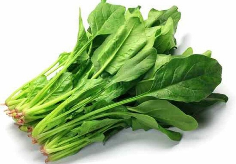 Rau bina hay còn gọi là cải bó xôi, rau chân vịt