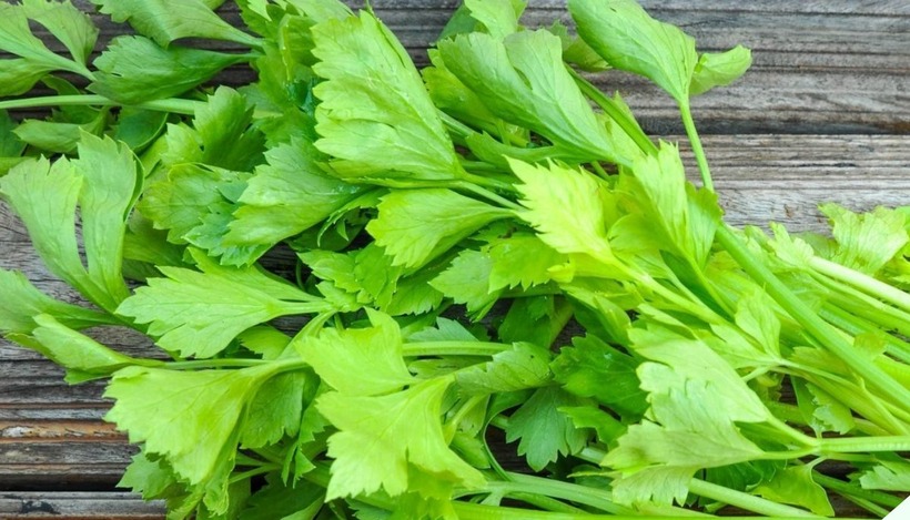 Mất ngủ do nóng gan tuyệt đối đừng bỏ qua loại rau này! - 1