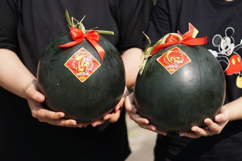 Dưa hấu đen Densuke được mệnh danh là "vua" của các loại dưa, và giá trị của nó luôn ở mức cao ngất ngưởng. Ảnh minh họa