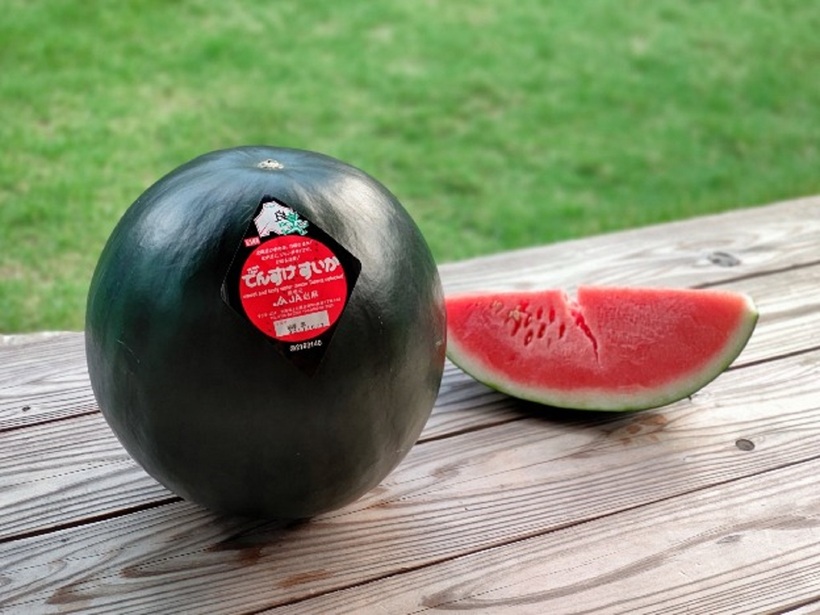Dưa hấu đen Densuke nổi lên như một biểu tượng của sự sang trọng và tinh tế. Ảnh minh họa