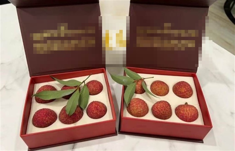 Quả vải thiều Gia Lục. Ảnh minh họa