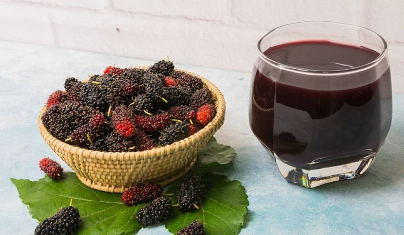 Vốn là loại quả giàu có về giá trị dinh dưỡng, dâu tằm luôn được người tiêu dùng yêu thích.