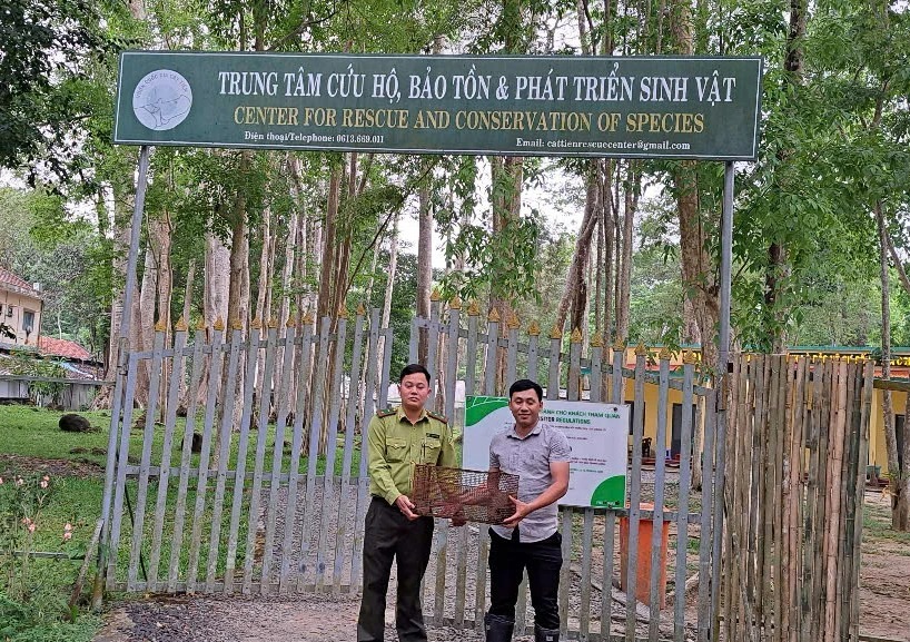 Hạt Kiểm lâm huyện Bảo Lâm đã tiếp nhận con tê tê quý hiếm từ ông Trương Quang Phước và bàn giao cho Vườn Quốc gia Cát Tiên.