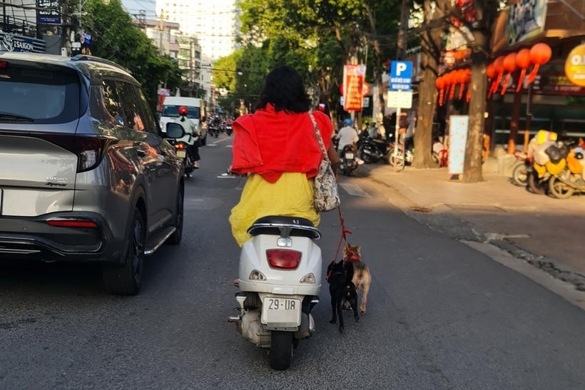 Người phụ nữ đi xe máy không đội mũ bảo hiểm, đồng thời dắt theo 2 con chó cảnh chạy trên đường gây bức xúc. Ảnh: Dân trí