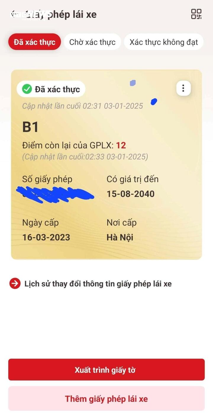 Cách kiểm tra điểm của giấy phép lái xe - 2