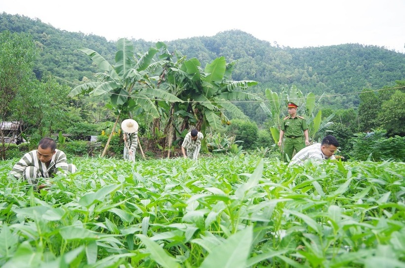 Bộ Công an đề xuất giao người bị phạt cải tạo không giam giữ cho công an cấp xã quản lý, giám sát. (Ảnh minh họa: Dân trí)