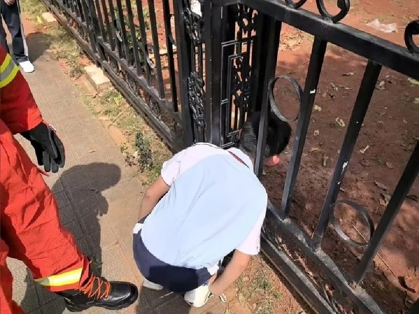 Một cậu bé 12 tuổi ở Hải Khẩu bị kẹt đầu vào hàng rào khi cố gắng đi đường tắt về nhà sau giờ học. Ảnh: QQ.