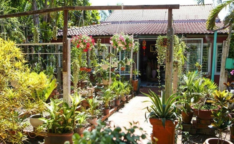 Khu vườn của Nguyễn Phi Hùng tràn ngập cây xanh và hoa tươi. Mỗi cây trong vườn đều là một kỷ niệm đối với anh.