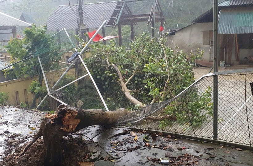 Cây cối gãy đổ sau trận lốc. (Ảnh: VNE)