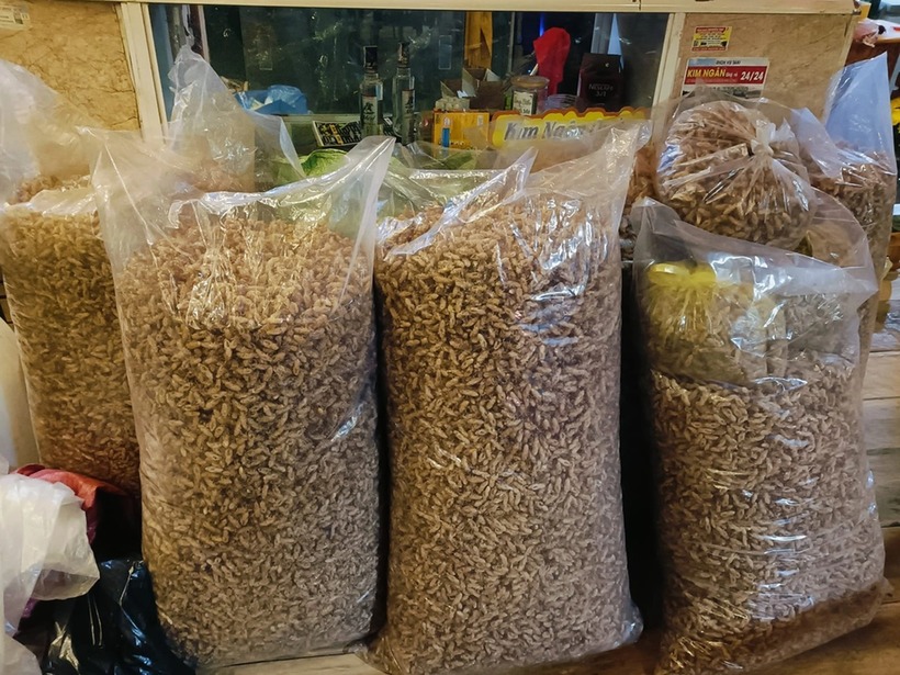 Xác ve sầu sau khi thu mua được gom lại thành túi to. Ảnh: Dân trí