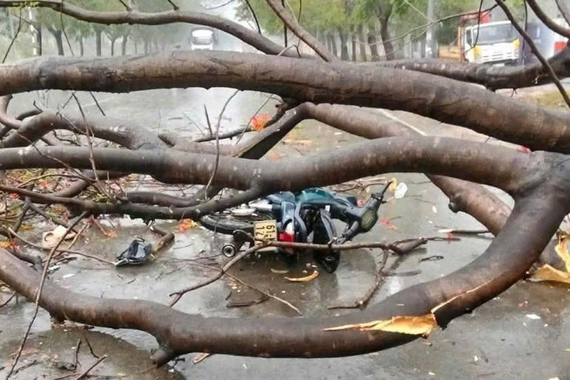 Hiện trường vụ tai nạn thương tâm. (Ảnh: Dân trí)