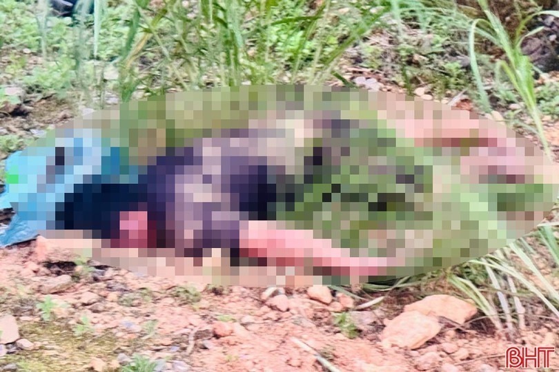 Người đàn ông tử vong cạnh chiếc xe máy ở Hà Tĩnh. Ảnh: Báo Hà Tĩnh