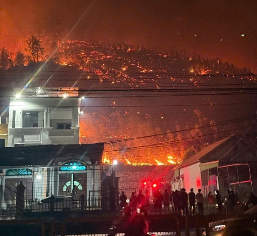 Tại phường Đại Yên (TP. Hạ Long) cũng xảy ra vụ cháy rừng. Ảnh: Sức khỏe và Đời sống