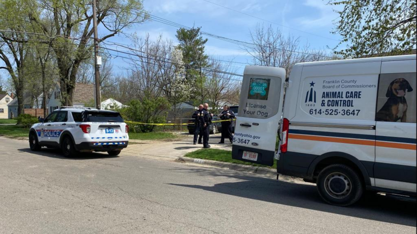 Những con chó Pitbull đã bị bắt giữ ngay sau đó. Ảnh: 10TV/WBNS