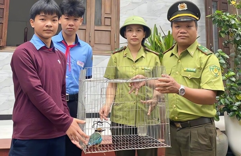 Học sinh Nguyễn Văn Anh Kiệt bàn giao cá thể chim quý hiếm cho cơ quan kiểm lâm. Ảnh: Dân Việt