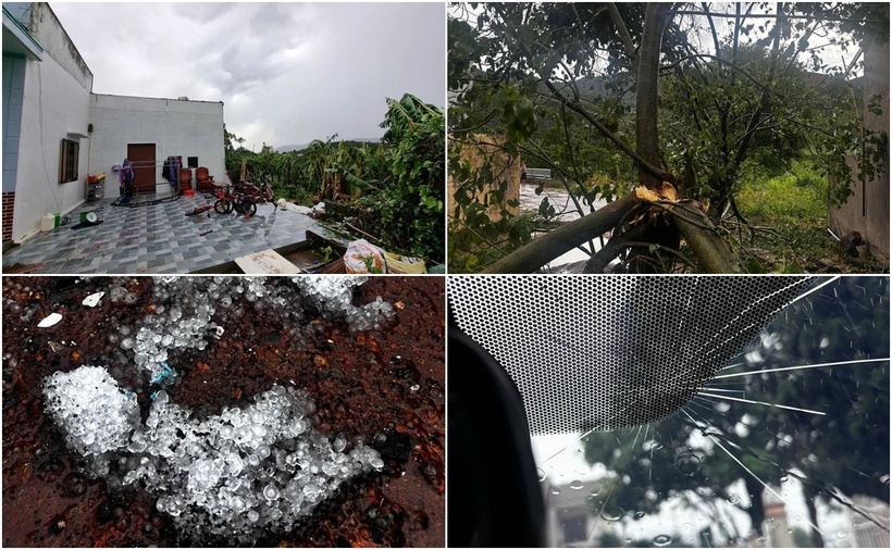 Trận mưa đá kèm lốc xoáy xảy ra ở xã Đại Lào, TP.Bảo Lộc, tỉnh Lâm Đồng làm tốc mái nhà dân, gây thiệt hại nặng cho cây trồng. (Ảnh: PLO)