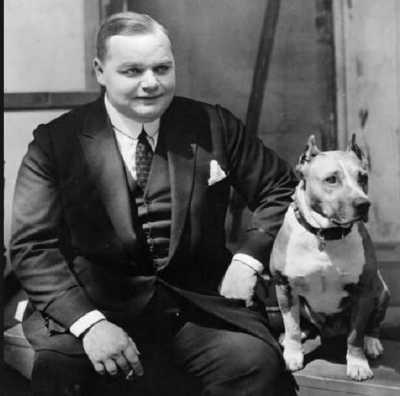 Mặc dù nam diễn viên được tuyên trắng án nhưng sự nghiệp của anh không thể trở lại đỉnh cao như trước.