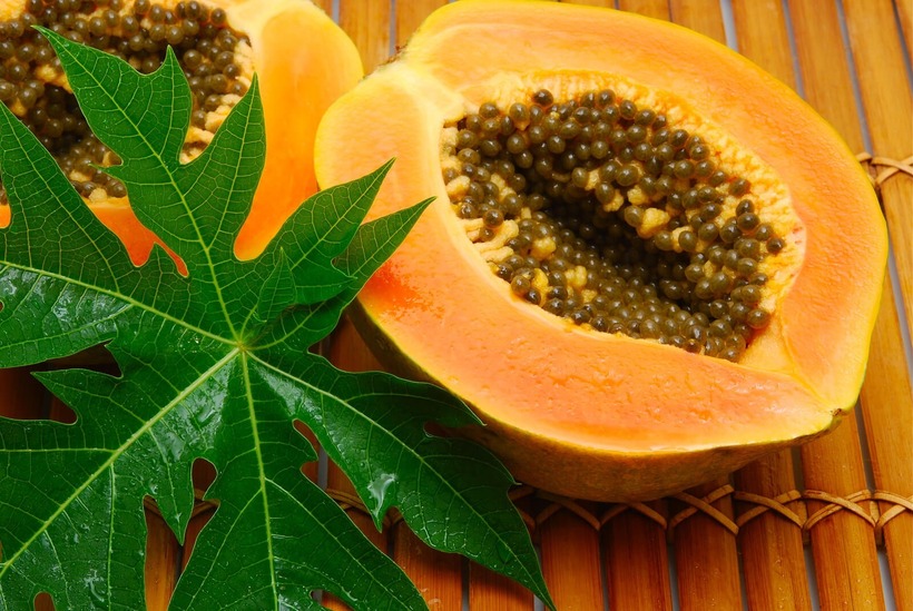 Lá đu đủ dạng tươi hay dạng trà thường được sử dụng như một liệu pháp để làm giảm các triệu chứng khó chịu đường tiêu hóa.