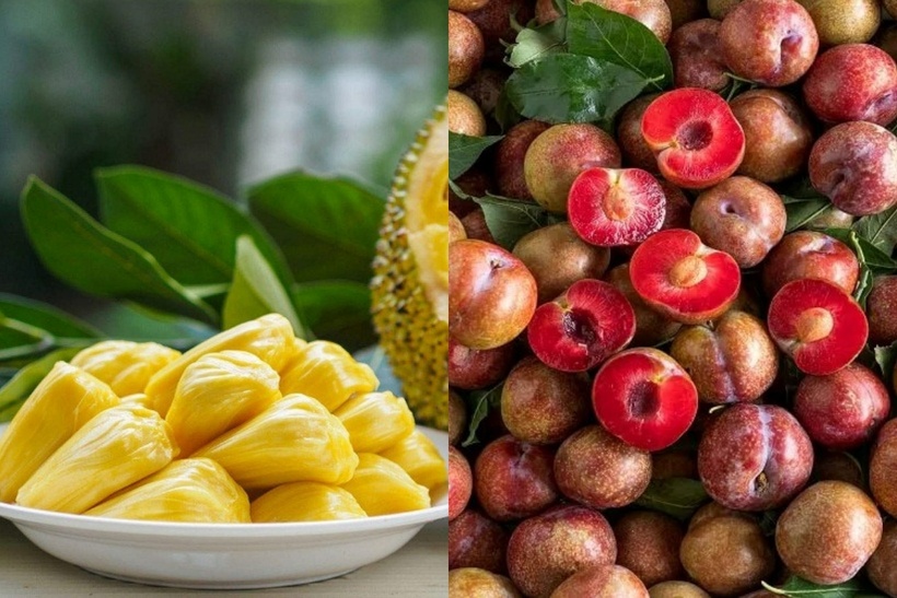 Vì sao nhiều người bị nổi mụn khi ăn mận, vải, mít xoài?