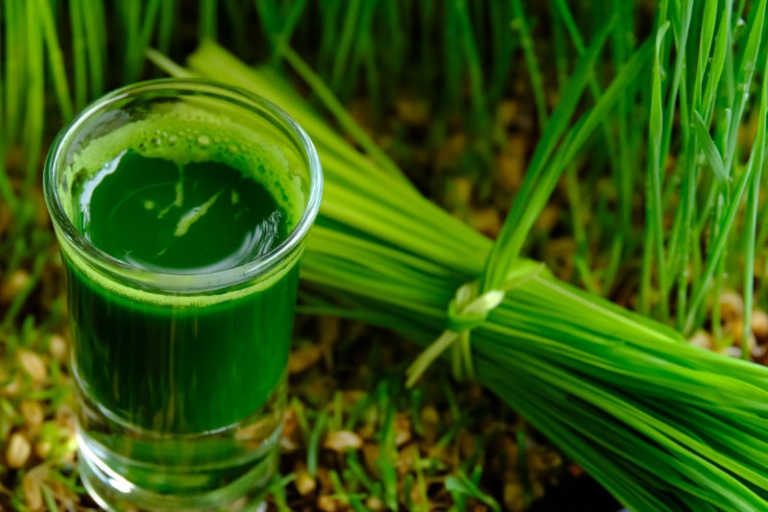 Uống nước lá hẹ đun sôi để nguội là mẹo dân gian giúp giảm mề đay