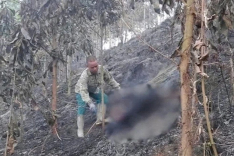 Hiện trường vụ việc. (Ảnh: Báo Bắc Kạn)