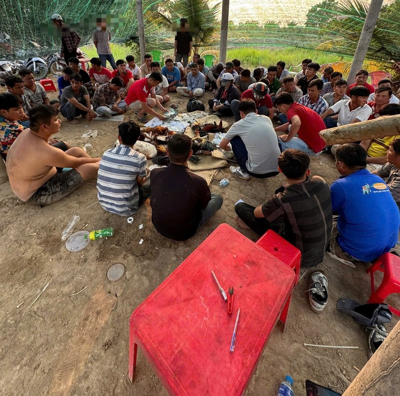 Tụ điểm đá gà ăn tiền nằm sâu trong khu vực xã tiếp giáp biên giới bị công an bắt giữ. Ảnh: Dân Việt