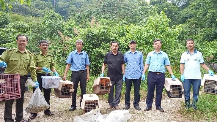 Chi cục Kiểm lâm TP.HCM phối hợp với Vườn quốc gia Chư Yang Sin thả động vật hoang dã về môi trường tự nhiên. (Ảnh: Tuổi trẻ)