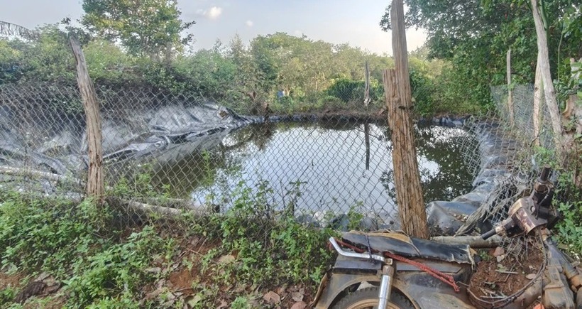 Ao chứa nước tưới cà phê nơi xảy ra vụ việc thương tâm. (Ảnh: NLĐ)