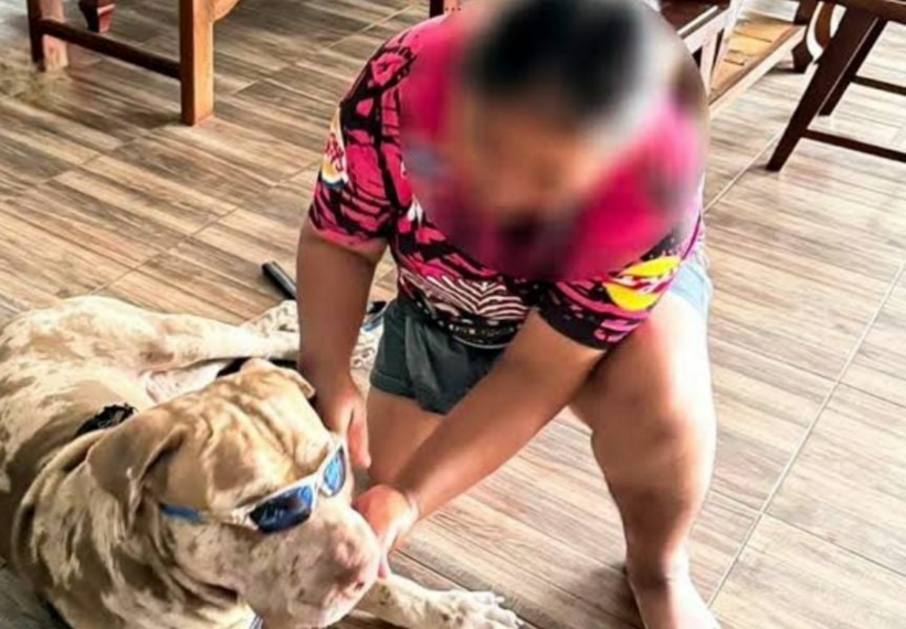 Hình ảnh Sutharat và chú chó Cooper của cô. Ảnh: ASEAN Now