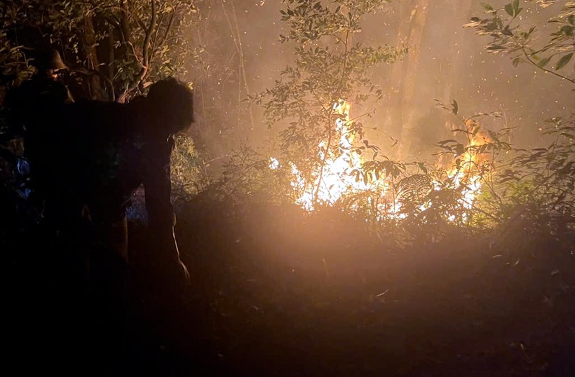 Khu vực rừng xảy ra vụ cháy. (Ảnh: Công an Hà Nội)