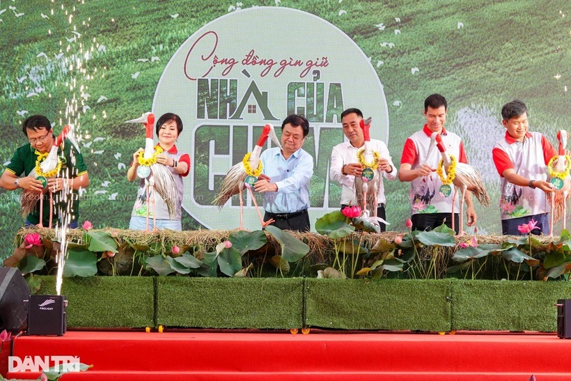Vườn quốc gia Tràm Chim chính thức tiếp nhận 6 cá thể sếu đầu đỏ từ Thái Lan. Ảnh: Báo Dân trí.