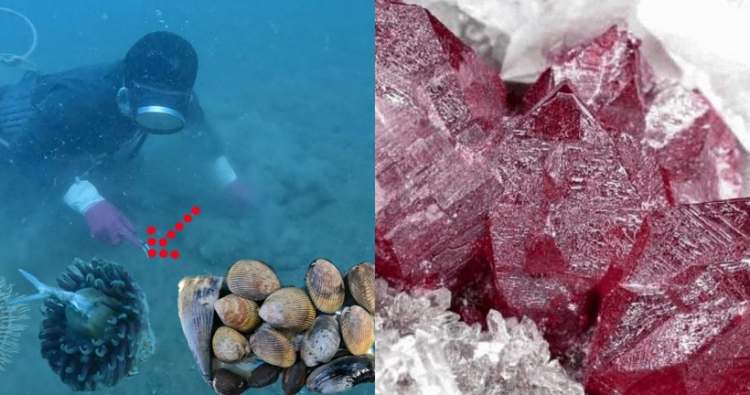 Lý Minh bất ngờ tìm thấy một viên đá màu hồng lấp lánh.  Ảnh minh họa.