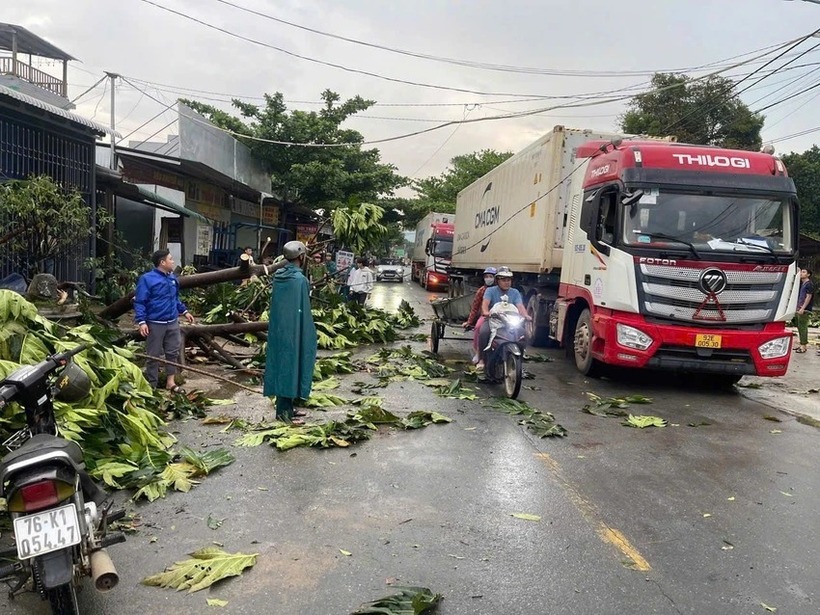 Cây ngã ảnh hưởng đến giao thông trên quốc lộ 24. (Ảnh: PLO)