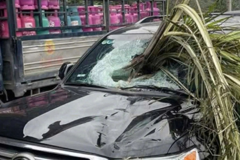 Xế hộp bị cây cọ đâm thủng kính chắn gió phía trước. (Ảnh: Tuổi trẻ)