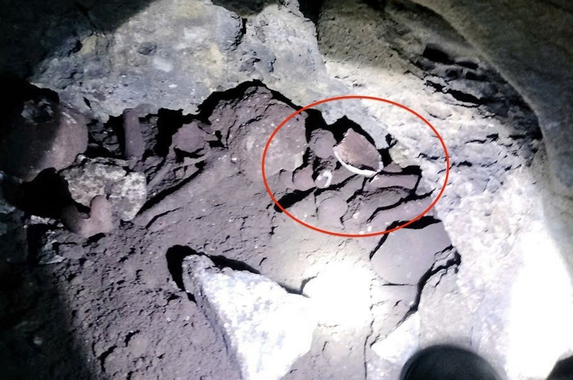 Một số hiện vật như vỏ ốc, mảnh gốm vỡ thu được tại hiện trường. Ảnh: Dân Trí