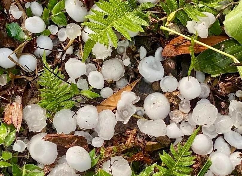 Hạt đá rơi xuống mặt đất ở Mèo Vạc vẫn còn kích thước lớn. (Ảnh: VnExpress)